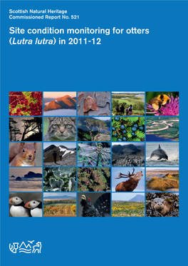 Site Condition Monitoring for Otters (Lutra Lutra) in 2011-12