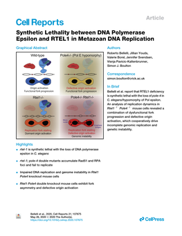 Synthetic Lethality Between DNA Polymerase Epsilon and RTEL1 in Metazoan DNA Replication