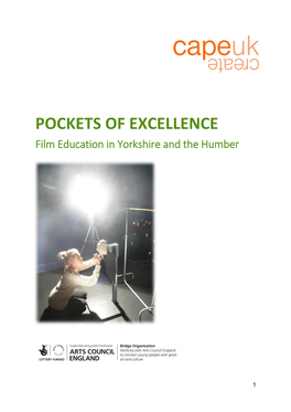 Pockets of Excellence