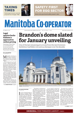 Brandon's Dome Slated for January Unveiling