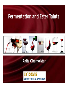 Fermentation and Ester Taints