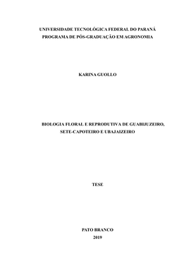 PB PPGAG D Guollo, Karina 2019.Pdf