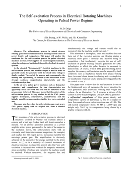 The Self-Excitation Process in Electrical Rotating Machines Operating in Pulsed Power Regime