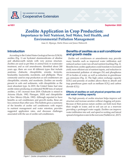 Zeolite Application in Crop Production: Importance to Soil Nutrient, Soil Water, Soil Health, and Environmental Pollution Management Isaac K