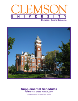 Supplemental Schedules