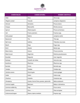 COMÚN INGLÉS COMÚN ESPAÑOL NOMBRE CIENTÍFICO Alder Aliso