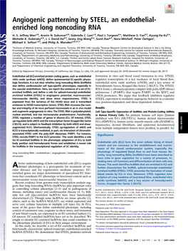 Angiogenic Patterning by STEEL, an Endothelial-Enriched Long