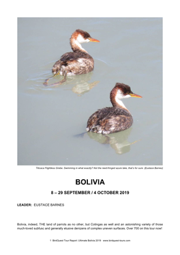 Ultimate Bolivia Tour Report 2019