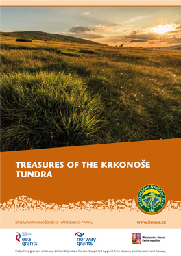 Treasures of the Krkonoše Tundra
