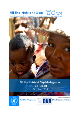 Fill the Nutrient Gap Madagascar: Full Report