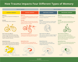 How Trauma Impacts Four Different Types of Memory