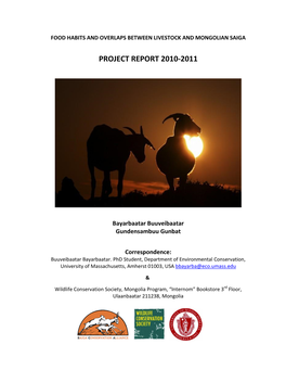 Project Report 2010-2011