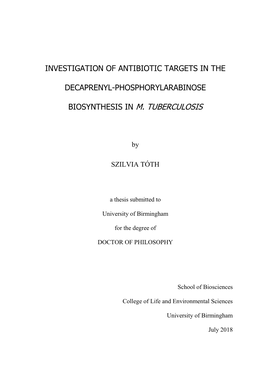 Investigation of Antibiotic Targets in the Decaprenyl