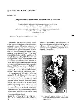 Dirofilaria Immitis Infection in a Japanese Weasel, Mustela Itatsi Pi