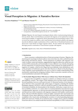 Visual Perception in Migraine: a Narrative Review