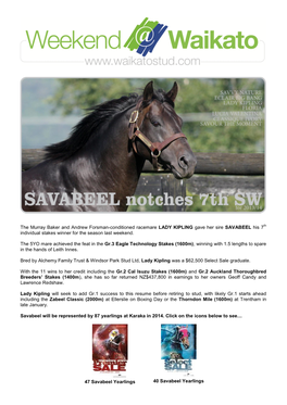 The Murray Baker and Andrew Forsman-Conditioned Racemare LADY KIPLING Gave Her Sire SAVABEEL His 7Th Individual Stakes Winner for the Season Last Weekend