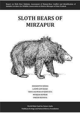 Sloth Bears of Mirzapur