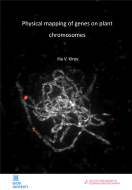 Physical Mapping of Genes on Plant Chromosomes