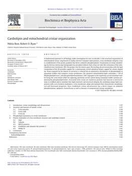 Cardiolipin and Mitochondrial Cristae Organization