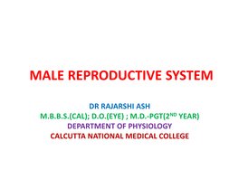 Male Reproductive System