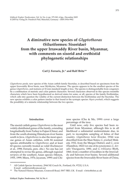 A Diminutive New Species of Glyptothorax (Siluriformes