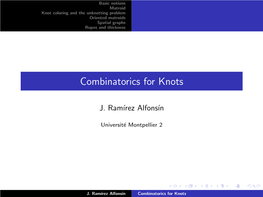 Combinatorics for Knots