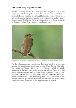 NSS Bird Group Report-Oct 2015