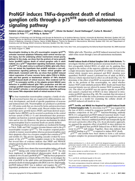 Prongf Induces Tnfα-Dependent Death of Retinal Ganglion Cells Through a P75ntr Non-Cell-Autonomous Signaling Pathway