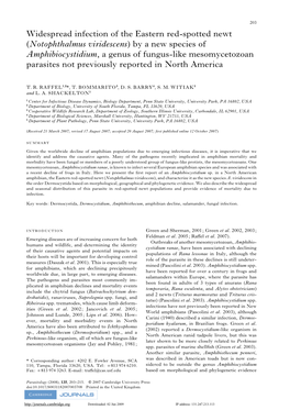 Notophthalmus Viridescens) by a New Species of Amphibiocystidium, a Genus of Fungus-Like Mesomycetozoan Parasites Not Previously Reported in North America