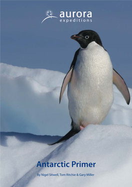 Antarctic Primer