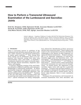 How to Perform a Transrectal Ultrasound Examination of the Lumbosacral and Sacroiliac Joints