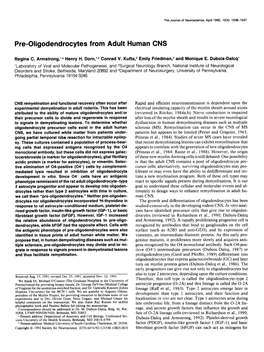 Pre-Oligodendrocytes from Adult Human CNS