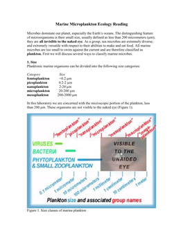 Marine Microplankton Ecology Reading