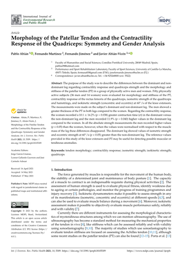 Morphology of the Patellar Tendon and the Contractility Response of the Quadriceps: Symmetry and Gender Analysis