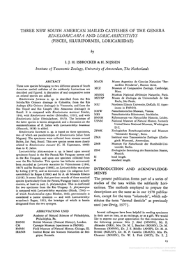 Three New South American Mailed Catfishes of the Genera Rineloricaria and Loricariichthys (Pisces, Siluriformes, Loricariide)