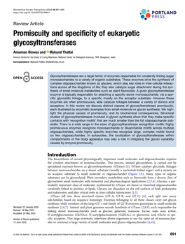 Promiscuity and Specificity of Eukaryotic Glycosyltransferases