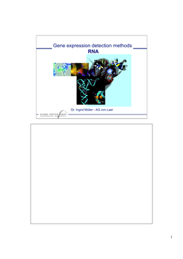 Gene Expression Detection Methods RNA