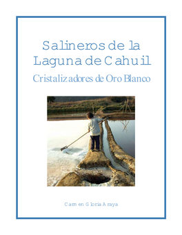 Salineros De La Laguna De Cahuil Cristalizadores De Oro Blanco