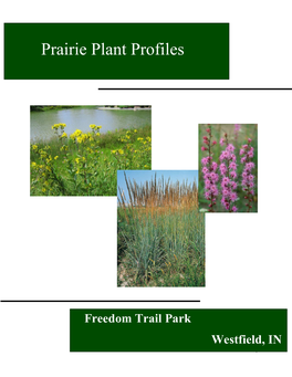 Prairie Plant Profiles