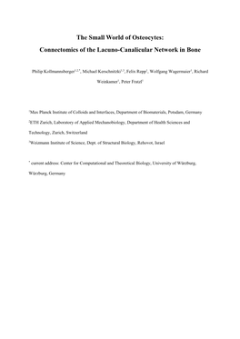 Connectomics of the Lacuno-Canalicular Network in Bone