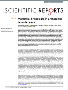 Marsupial Brood Care in Cretaceous Tanaidaceans Alba Sánchez-García 1, Xavier Delclòs 1, Michael S