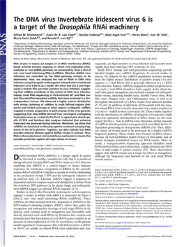 The DNA Virus Invertebrate Iridescent Virus 6 Is a Target of the Drosophila Rnai Machinery