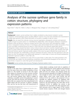 Analyses of the Sucrose Synthase Gene Family in Cotton