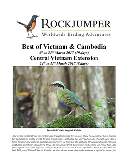 CAMBODIA and VIETNAM Birds