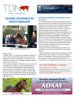 Diverse Offerings at Goffs February Cont