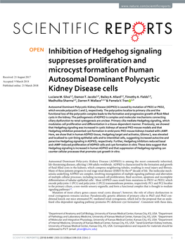 Inhibition of Hedgehog Signaling Suppresses Proliferation And