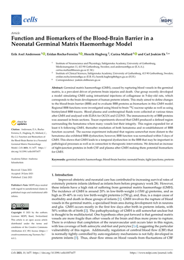 Function and Biomarkers of the Blood-Brain Barrier in a Neonatal Germinal Matrix Haemorrhage Model