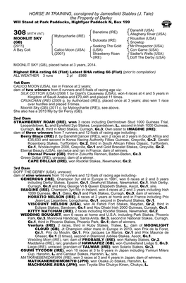 HORSE in TRAINING, Consigned by Jamesfield Stables (J. Tate) the Property of Darley Will Stand at Park Paddocks, Highflyer Paddock N, Box 199