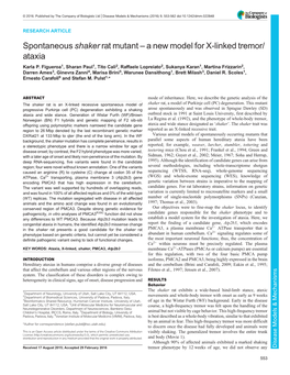 A New Model for X-Linked Tremor/Ataxia