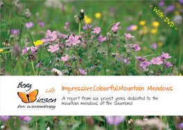 Impressive.Colourful.Mountain Meadows